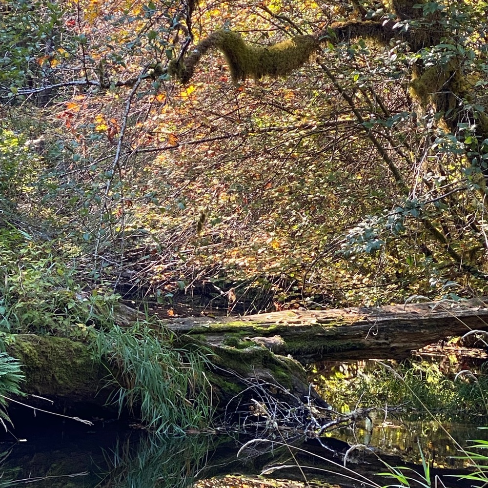 Intu Stones 
crystals with a crystal healer Unlisted Inventory - Picture 6 of 16